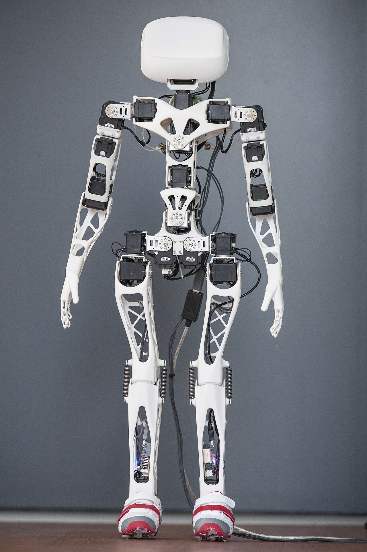 Humanoid Robot Maketi